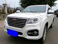 一台国产豪华型的SUV