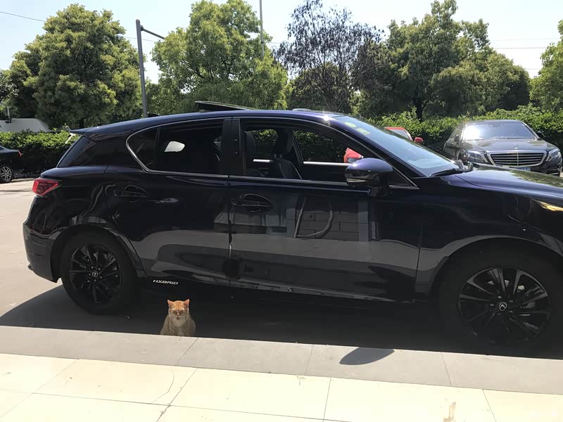 alpha531 对2018款 ct200h 多彩生活特别限量版 写的口碑