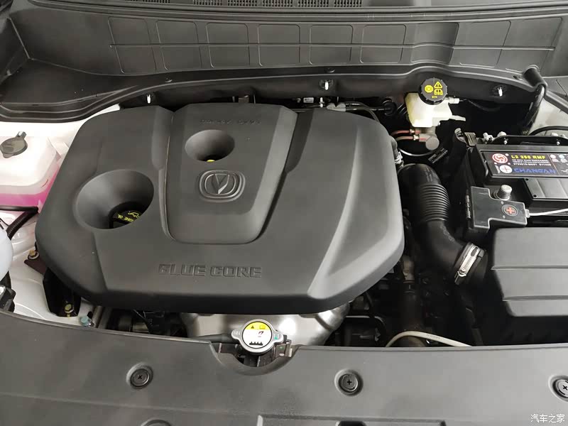 蓝鲸缸内直喷发动机