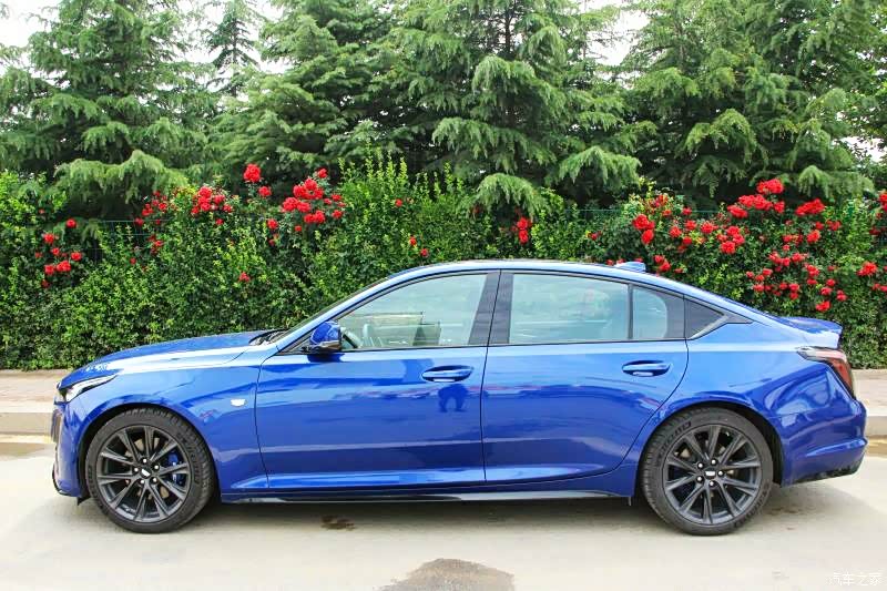 凯迪拉克ct5 2020款 28t 铂金运动版怎么样_优缺点_落花时期s_口碑