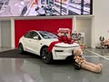 1提车两月实测！Model Y不虚标，长途堵车毫无续航焦虑
