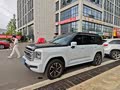 24年盲定七座汽油极境版用车感受，五迷老师见了记得滴滴