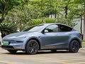 提车2月｜特斯拉焕新Model Y长续航四驱版 优缺点全说透