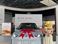 零跑A10车主真实感受｜提车一个月客观分享，优点缺点全实话