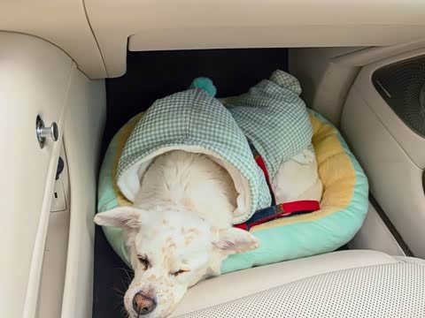 Фото от владельца
