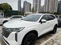 家用 SUV 务实之选！
