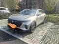 岚图知音，家用实用之选