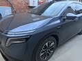 家庭出行好帮手，NX8 650 MAX用车体验